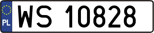 WS10828