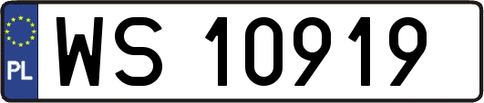 WS10919