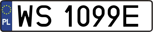 WS1099E