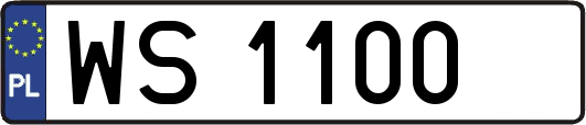 WS1100