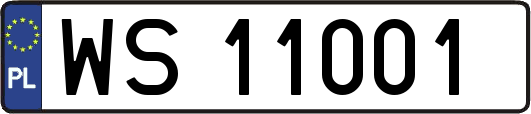 WS11001