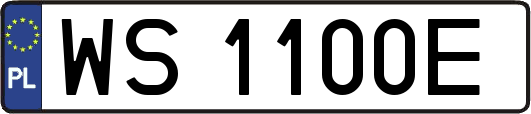 WS1100E
