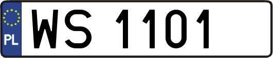 WS1101
