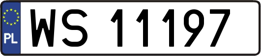 WS11197