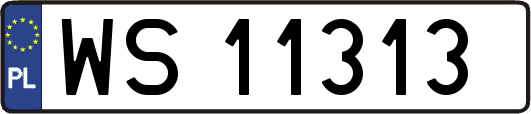 WS11313