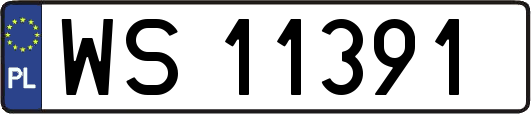 WS11391