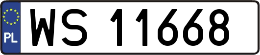 WS11668
