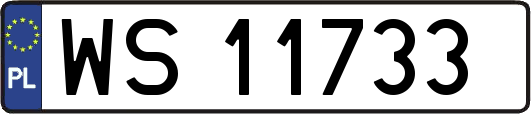 WS11733