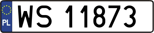 WS11873