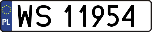 WS11954