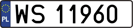 WS11960