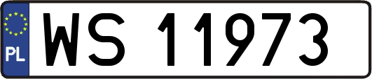 WS11973