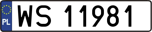 WS11981