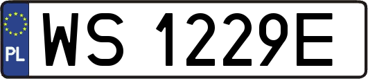WS1229E