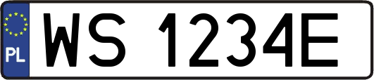 WS1234E