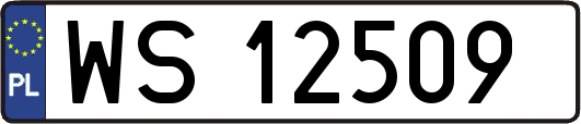 WS12509