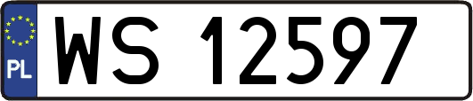 WS12597