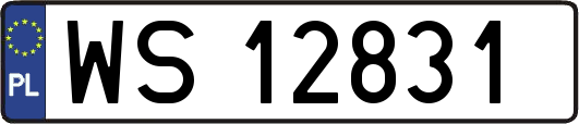 WS12831
