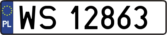 WS12863