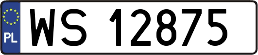 WS12875