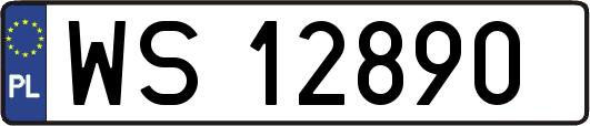 WS12890