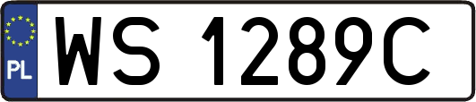 WS1289C