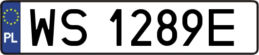 WS1289E