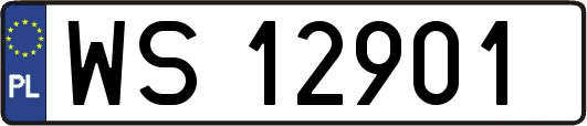WS12901