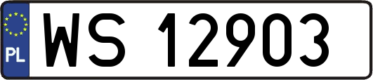 WS12903