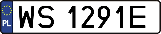 WS1291E