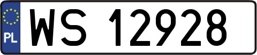 WS12928