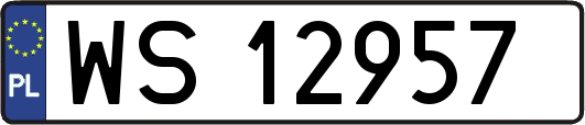 WS12957