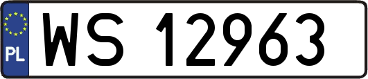 WS12963