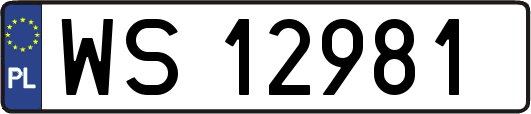 WS12981