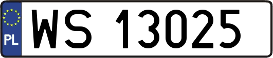 WS13025