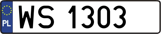 WS1303