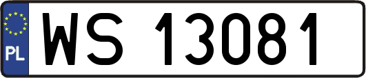 WS13081