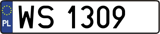 WS1309