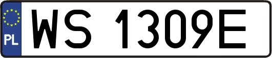 WS1309E
