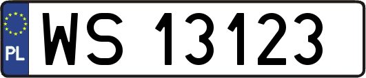 WS13123