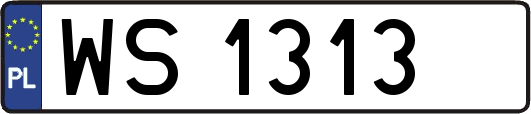 WS1313