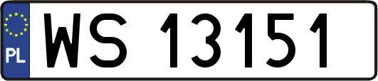 WS13151