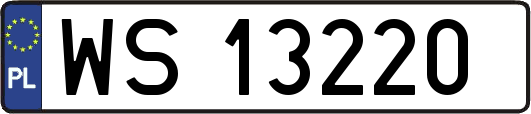 WS13220