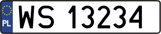 WS13234