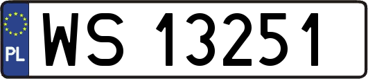 WS13251