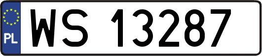 WS13287