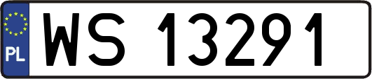 WS13291
