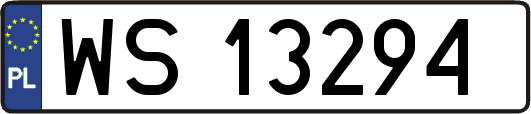 WS13294