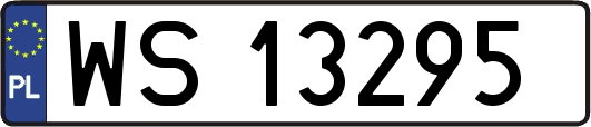 WS13295