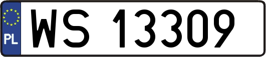WS13309